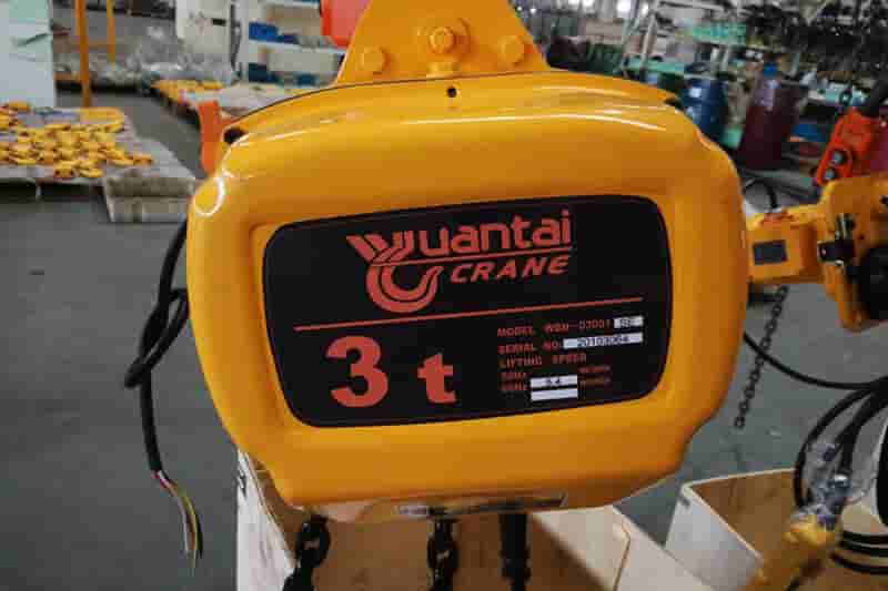 3 tons Electric Chain Hoist Orders from Pakistan