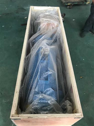 Packing-of-5t-electric-wire-rope-hoist-2