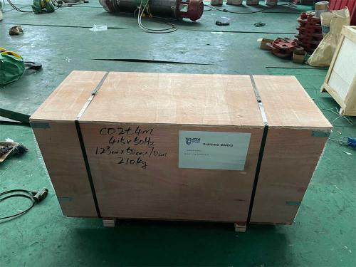 2-tons-of-electric-wire-rope-hoist-packing-1