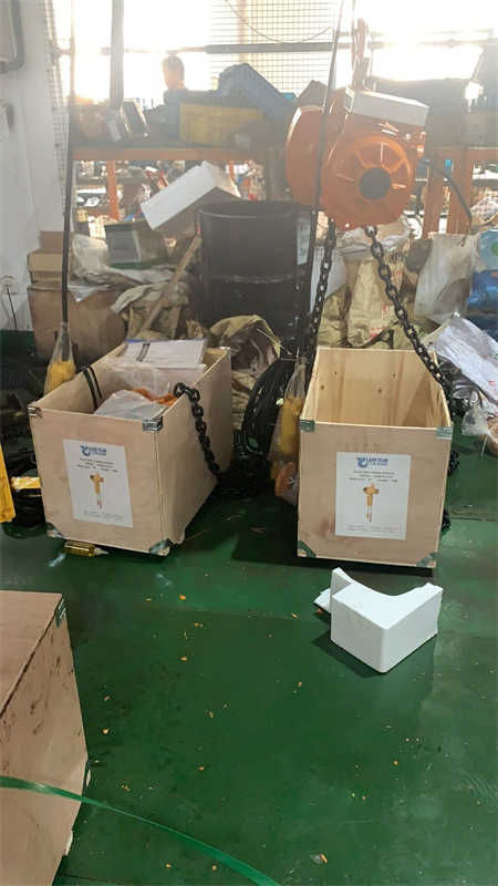 3 tons electric chain hoist packing