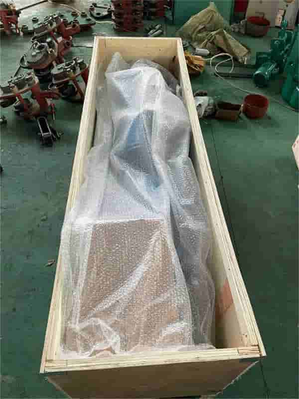 5 ton hoist packing
