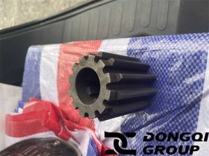 Reducer gear