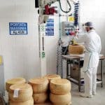 Indeva’s column-mounted Litronic vacuum lifter, handling fine Italian cheese.