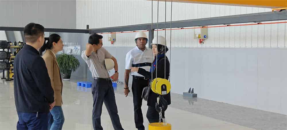 Customers from Malaysia visit Dongqi Crane Group factory (2)