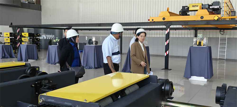 Customers from Malaysia visit Dongqi Crane Group factory (2)
