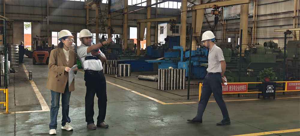 Customers from Malaysia visit Dongqi Crane Group factory (2)