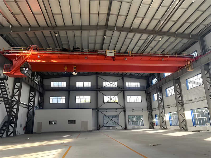 QD5-16.5 A6 bridge crane