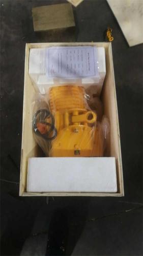Electric-chain-hoist-packing